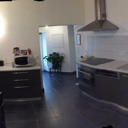 La Palascaise Apartament Palasca (Corsica)